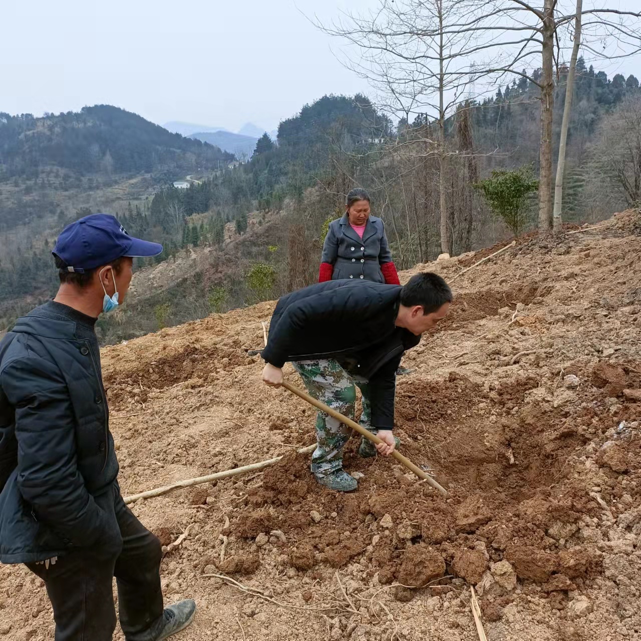 竹溪县九里岗林特场掀起春季植树造林热潮